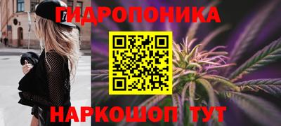 шишки Гусь-Хрустальный
