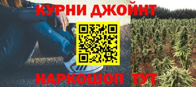 шишки Гусь-Хрустальный