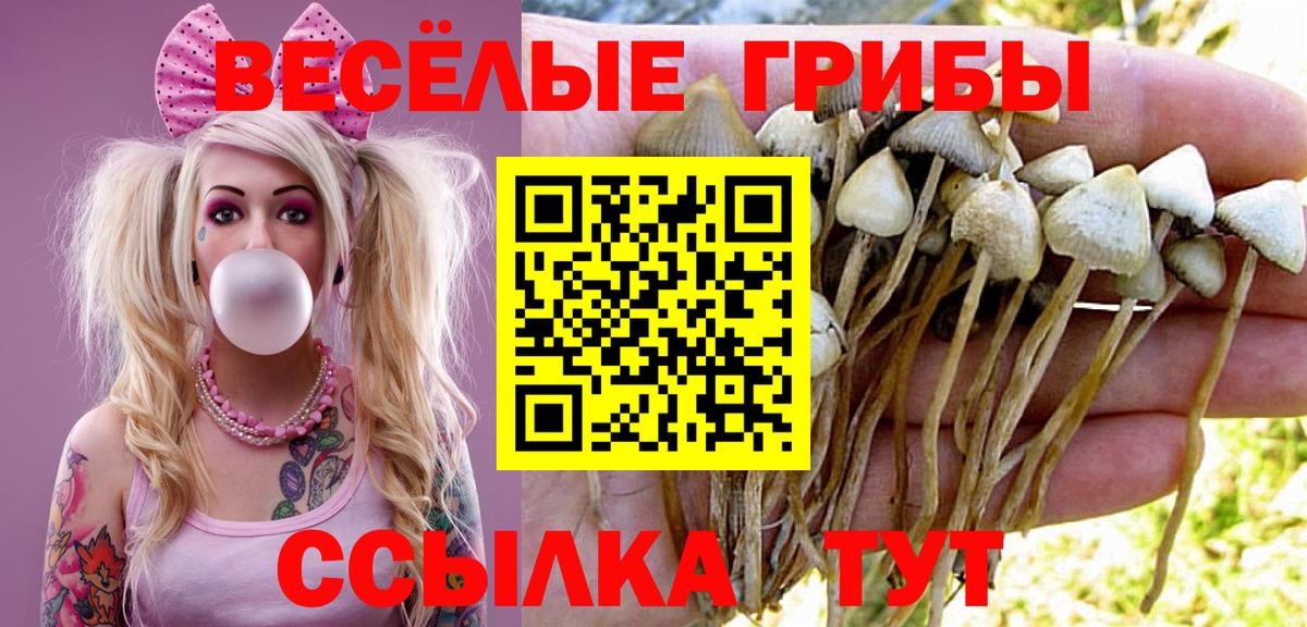 Галлюциногенные грибы Cubensis  Вход с VPN  Шатура 